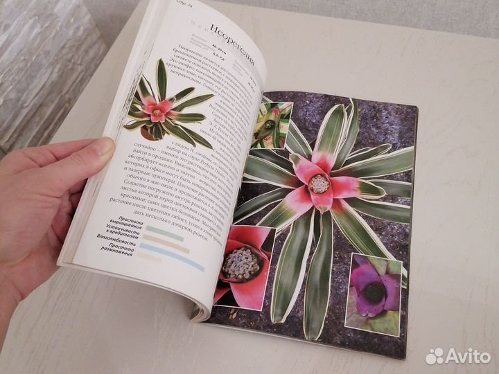 Книга Всё о комнатных растениях, очищающих воздух