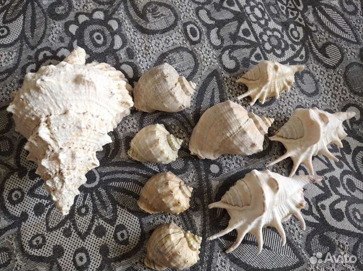 Декорации в аквариум