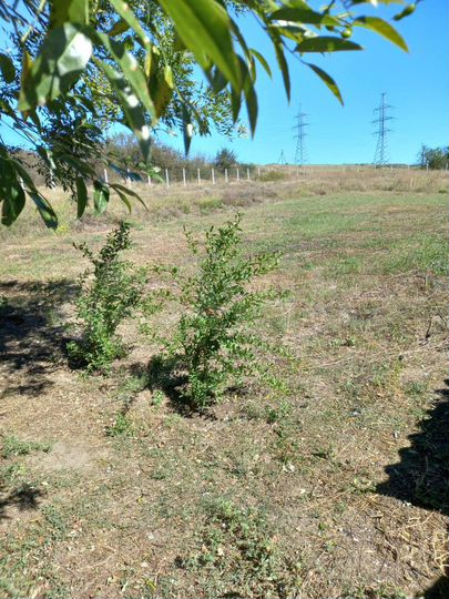 Дом 40 м² на участке 40 сот.