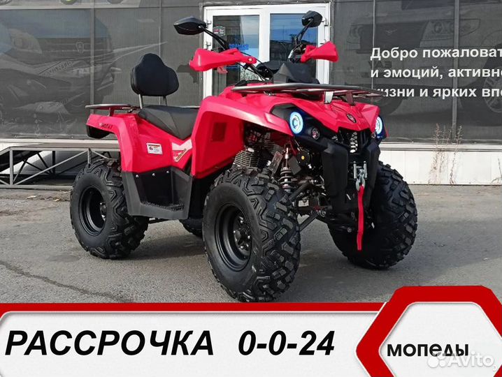 Квадроцикл заряженный Motax Grizlik 200 Ultra