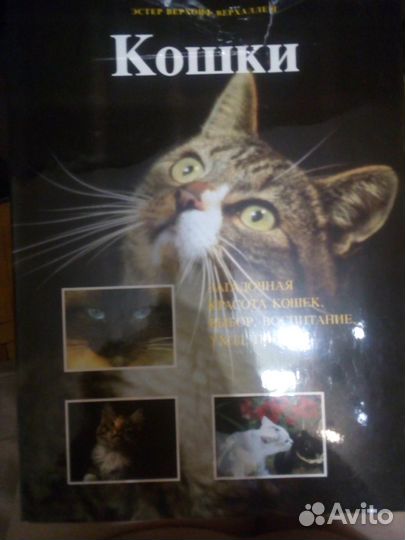 Подарочное издание «Кошки»