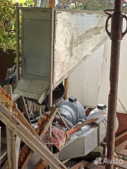 Апресация ореха сушка