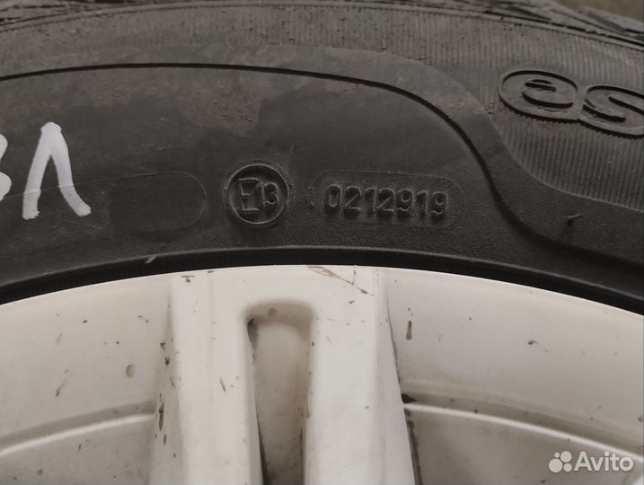 Sava Eskimo Stud 175/65 R14