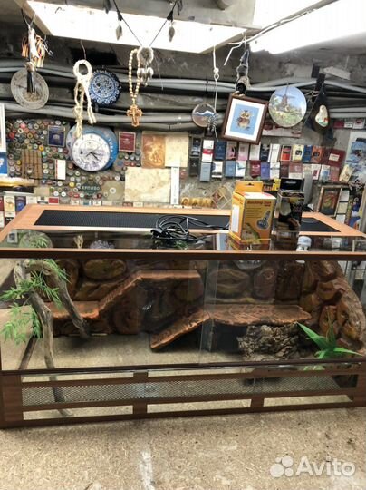 Аквариум и террариум