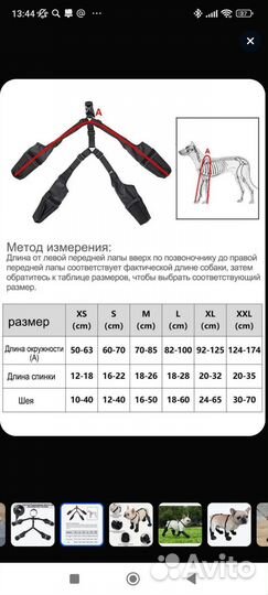 Обувь для собак