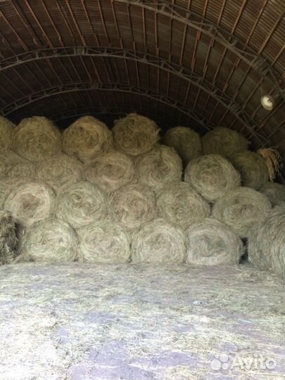 Сено и солома 2023 от производителя. Оптом