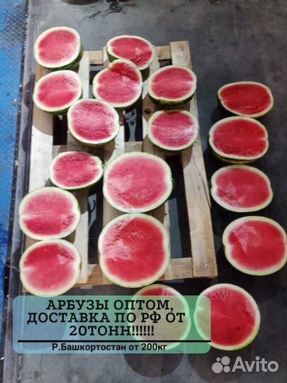 Арбузы оптом от 20 тонн