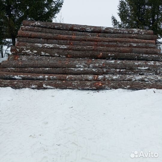 Лиственница