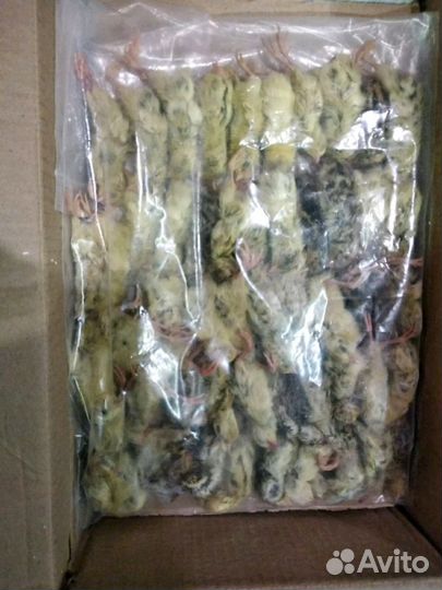 Кормовая перепелка для хищников