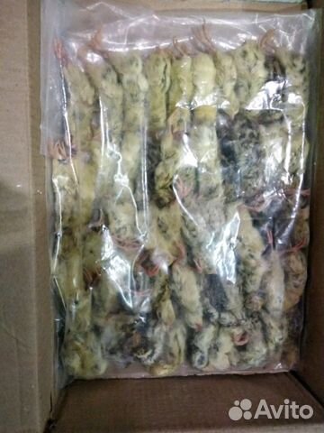 Кормовая перепелка для хищников