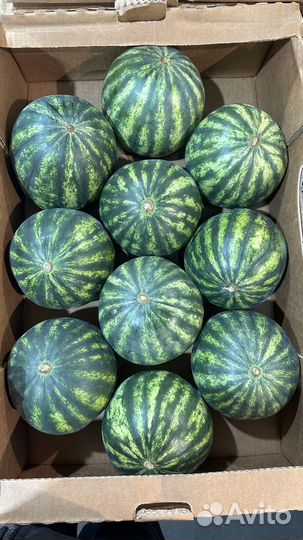 Арбуз маленький
