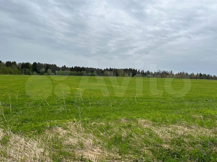 Участок 2,12 га (СНТ, ДНП)