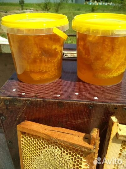 Мёд в сотах свежий