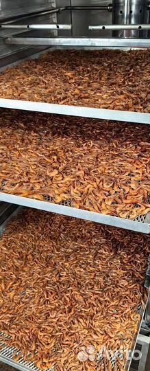 Креветка азовская опт и розница