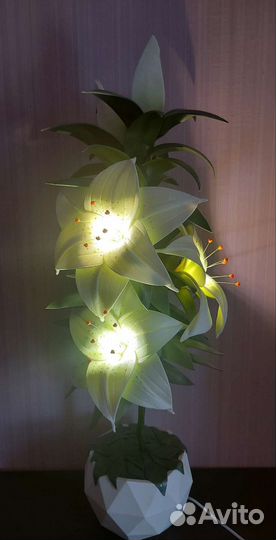Ростовые цветы светильники