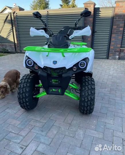 Квадроцикл Rockot Hammer 200