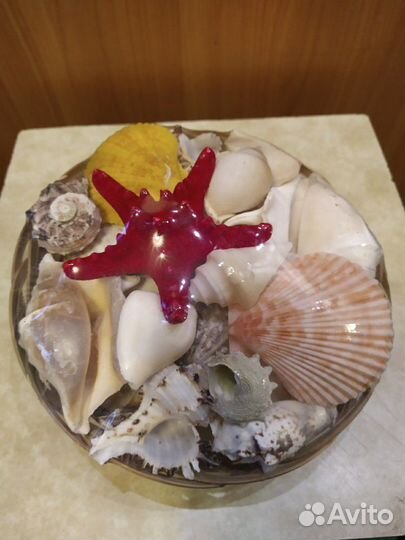 Морская звезда и ракушки