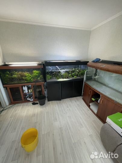 Обслуживание и запуск аквариумов