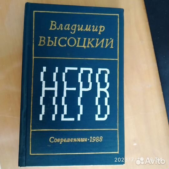 Книга Нерв. Высоцкий В