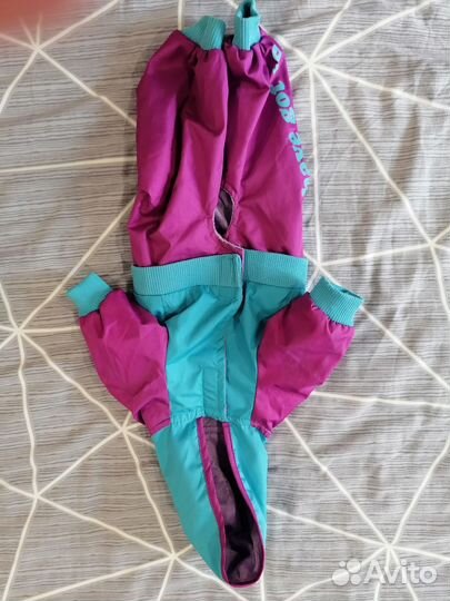 Костюм для собак мелких пород