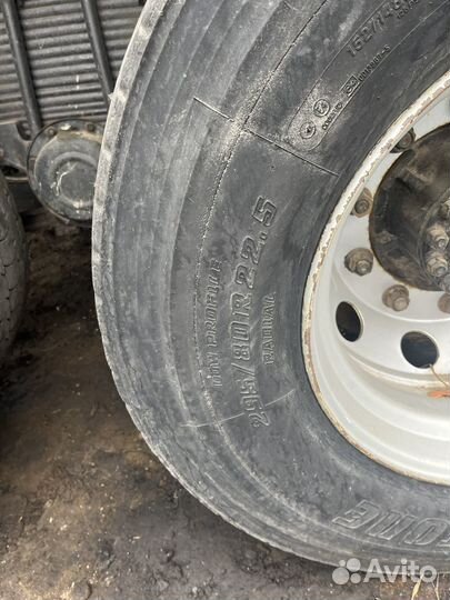 Резина безеамерка