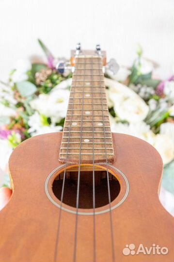 Укулеле caraya uk13bn