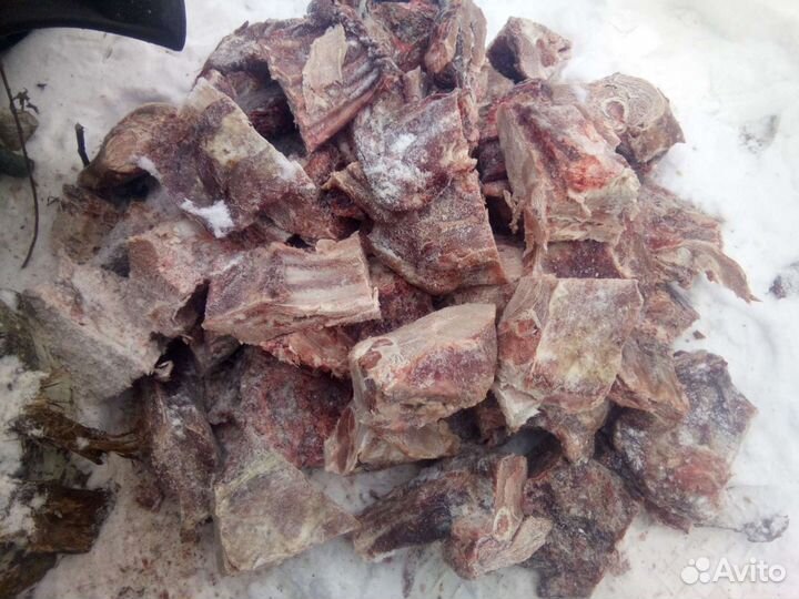 Мясо для собак