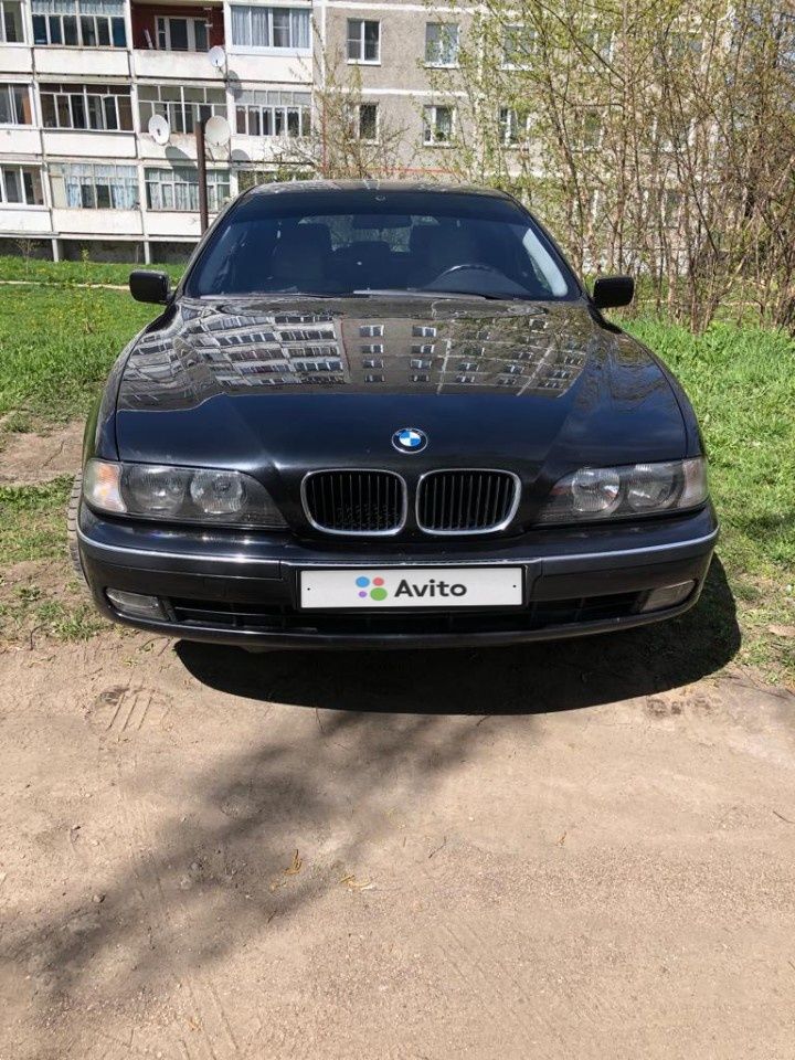 BMW 5 серия: фото владельца