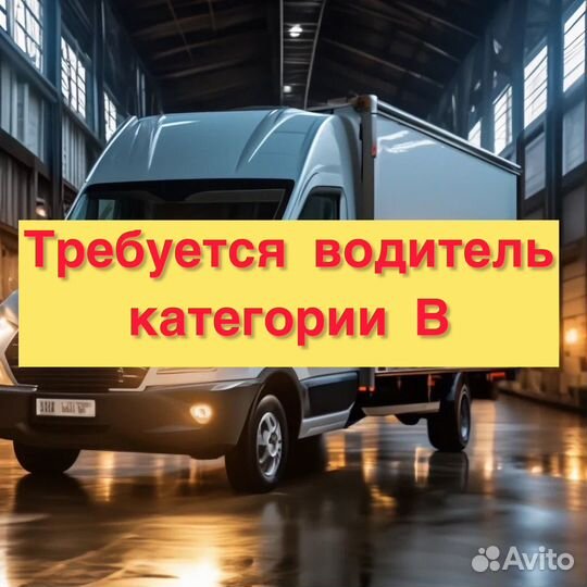 Водитель на Газель