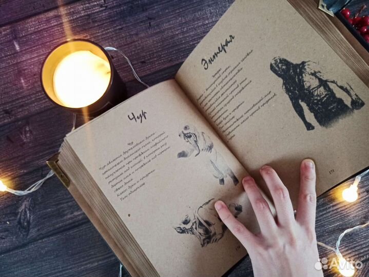 Бестиарий Ведьмак (чёрная обложка)