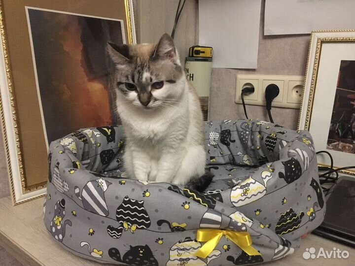 Лежанка для кошек или собак