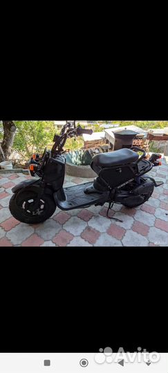 Хонда зуммер honda zoomer