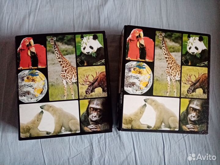 Энциклопедия В мире дикой природы