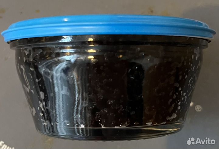 Икра щучья