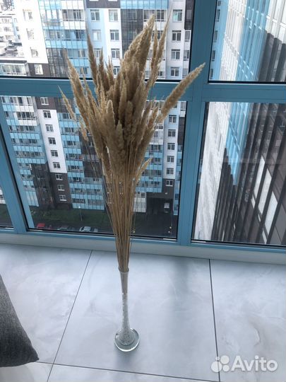 Букет из сухоцветов с вазой