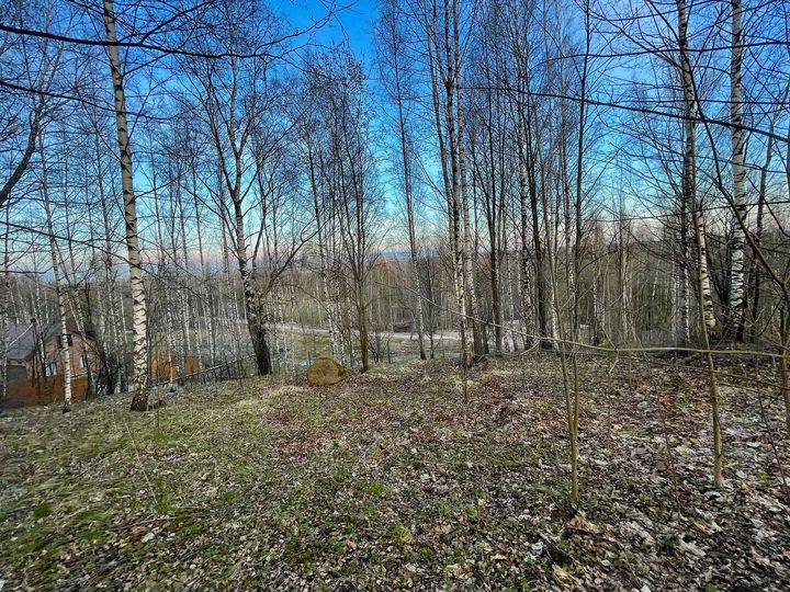 Участок 8 сот. (ИЖС)