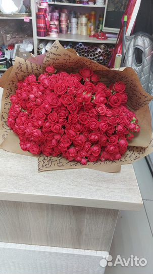 Роза кустовая