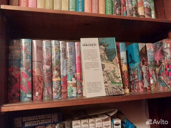 Серия книг про викингов