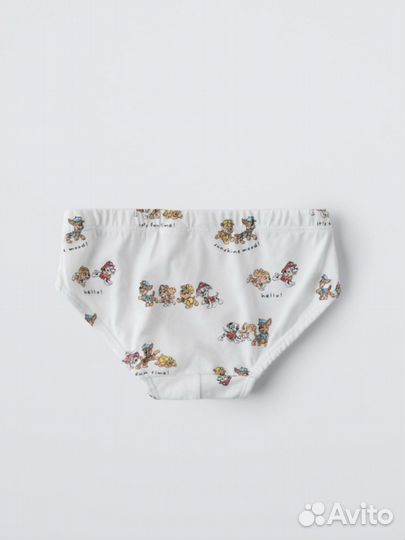 Носки трусы для мальчика zara paw patrol