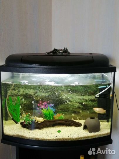 Продам аквариум