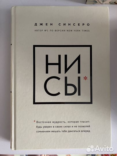 Книга ни сы джен синсеро