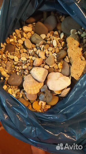 Грунт для аквариума