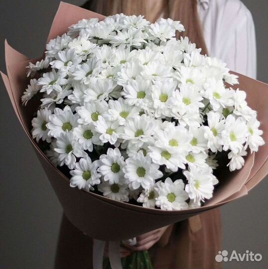 Хризантема Доставка цветов Букеты