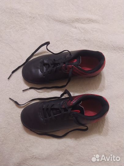 Сороконожки