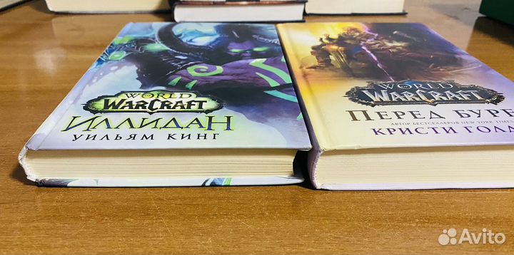 Книги World of Warcraft Иллидан, Перед бурей