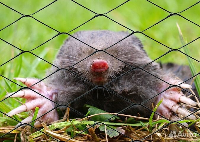 Сетка от кротов пластиковая