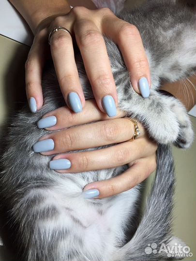 Маникюр, гель лак, наращивание