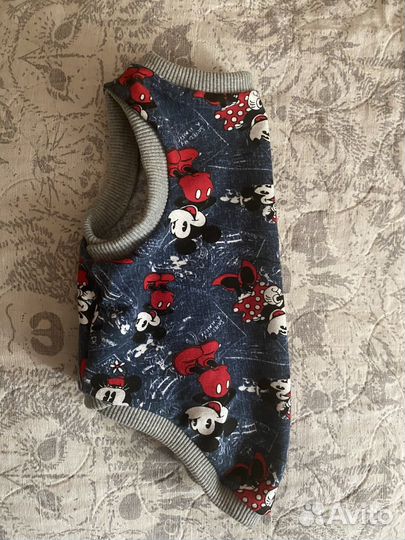 Толстовка для животных