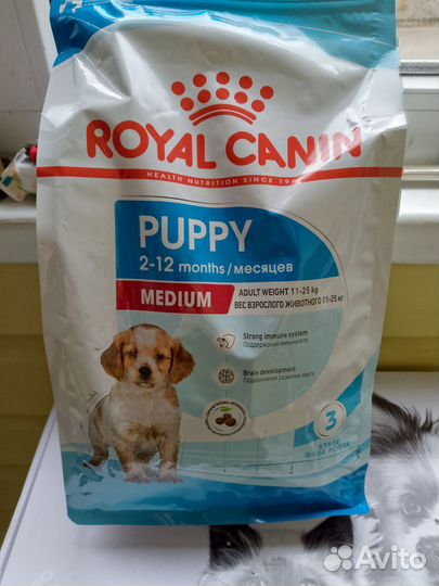 Корм для собак royal canin для щенков