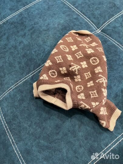 Одежда для маленьких собак